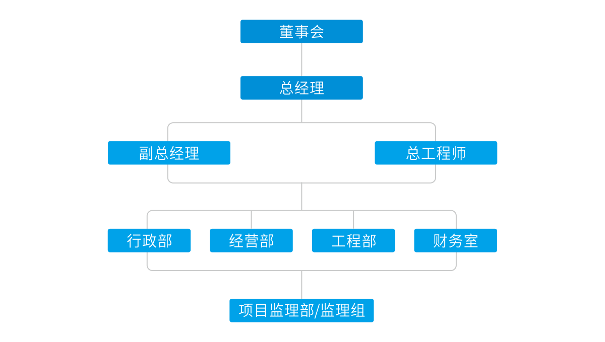 四川國際工程監(jiān)理有限公司組織架構